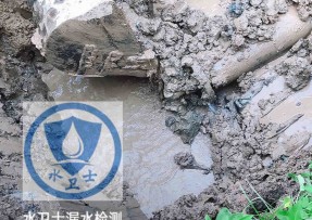 大安水管漏水检测公司5